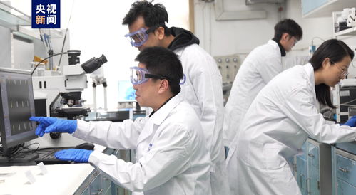 我國科研人員實(shí)現(xiàn)二維金屬碲化物材料宏量制備，助力材料科學(xué)規(guī)?；瘧?yīng)用